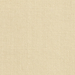 썸네일(스크롤)