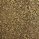 썸네일(스크롤)