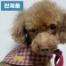 썸네일(스크롤)