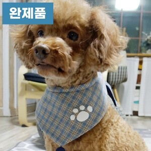 [바이핸즈] 퀼트완제품 소품 - 애견 요일스카프 (블루헤븐) (개)